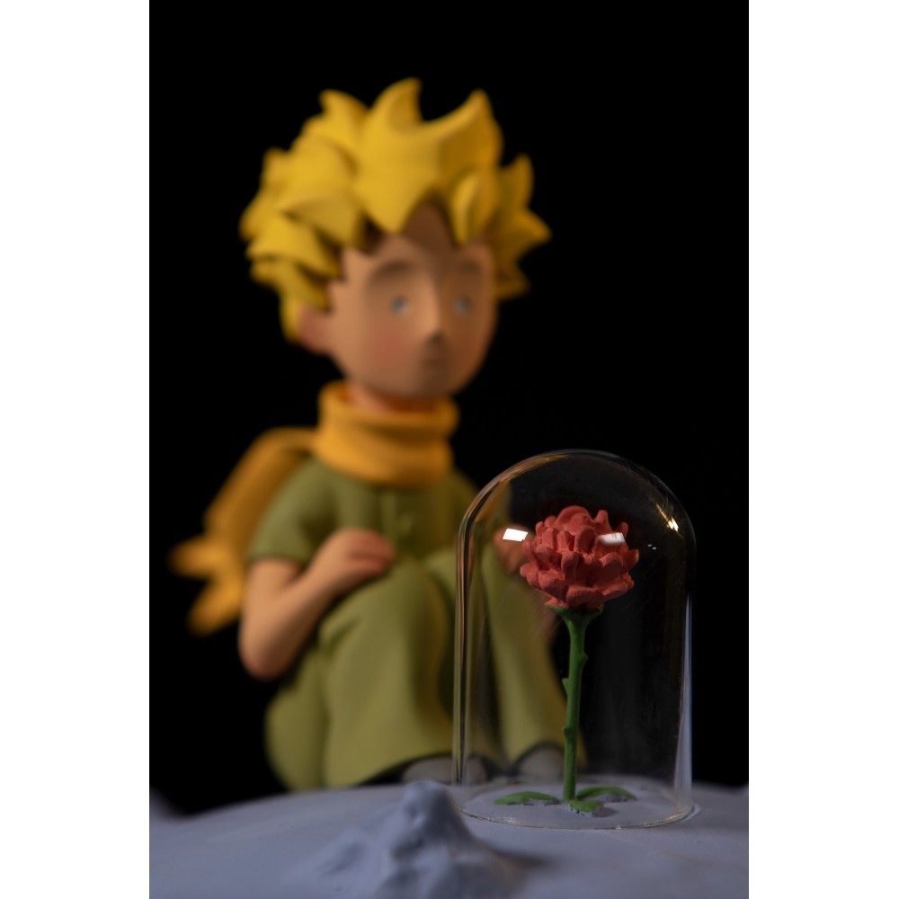 Le Petit Prince and his rose